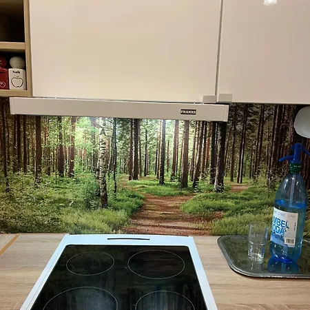 Urocze Mieszkanie W Gdansku アパート グダニスク