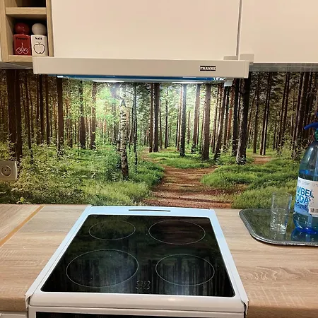 Urocze Mieszkanie W Gdansku *