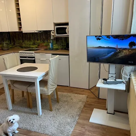 Urocze Mieszkanie W Gdansku アパート *